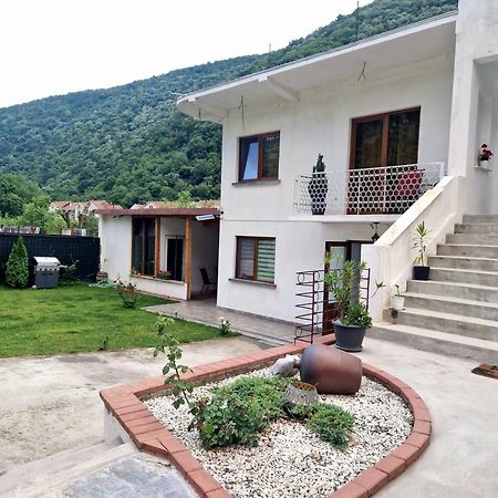 Hotel Renate House Băile Herculane Zewnętrze zdjęcie
