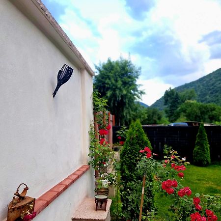 Hotel Renate House Băile Herculane Zewnętrze zdjęcie