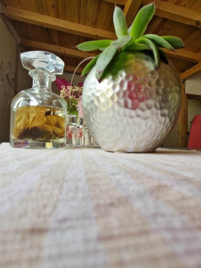 Hotel Renate House Băile Herculane Zewnętrze zdjęcie