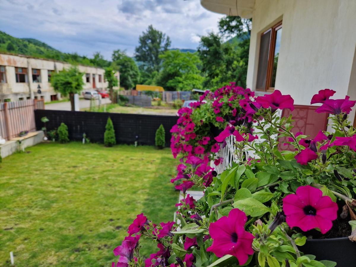 Hotel Renate House Băile Herculane Zewnętrze zdjęcie