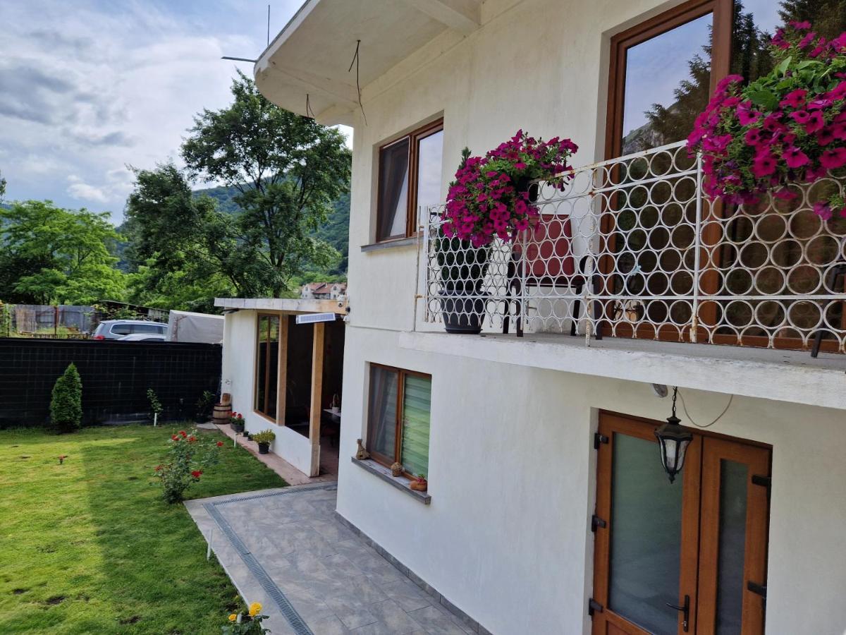 Hotel Renate House Băile Herculane Zewnętrze zdjęcie