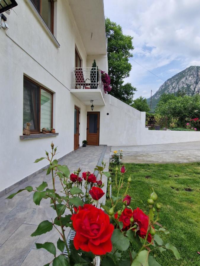 Hotel Renate House Băile Herculane Zewnętrze zdjęcie