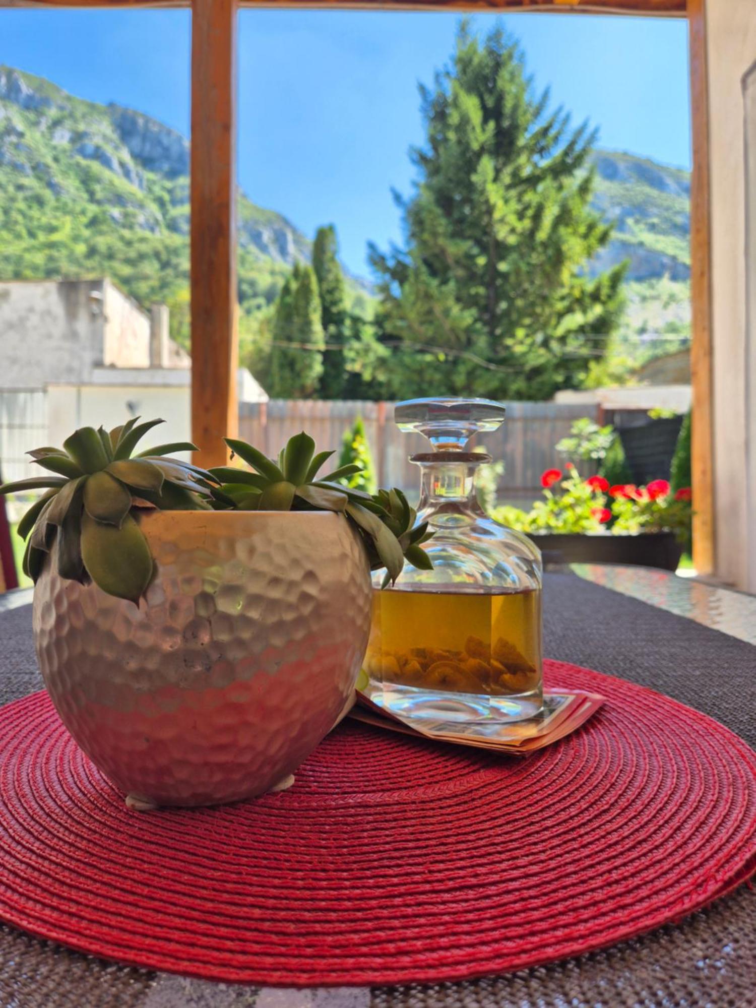 Hotel Renate House Băile Herculane Zewnętrze zdjęcie